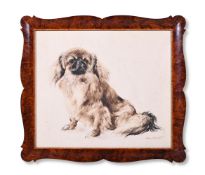 λ KURT MEYER EBERHARDT (GERMAN 1895-1977), STUDY OF A PEKINESE DOG