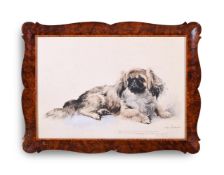 λ KURT MEYER EBERHARDT (GERMAN 1895-1977), STUDY OF A PEKINESE DOG