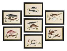 Seven Chinese Export paintings of fish
