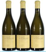 2016 Pierre-Yves Colin-Morey, Puligny-Montrachet Premier Cru, Les Champ Gains