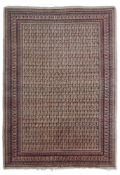 A SAROUK CARPET