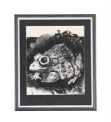 ANGELA CONNER (BRITISH B. 1935), FROG