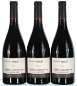 2011 Domaine Pavelot, Savigny-les-Beaune Premier Cru, La Dominode