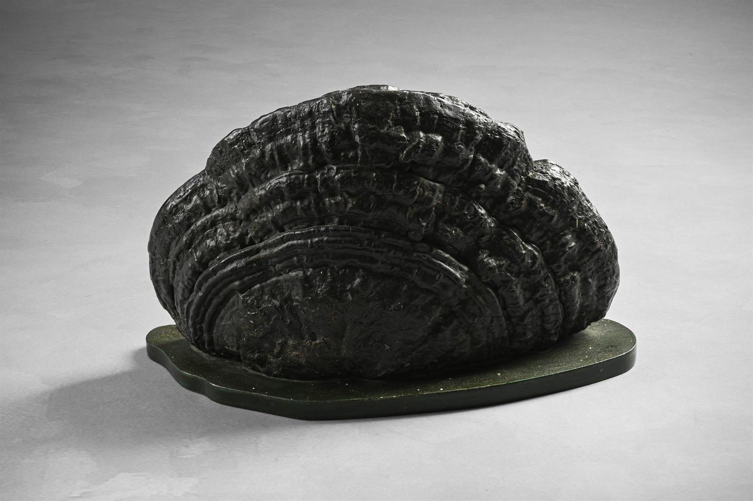 A MOUNTED SECTION OF TREE FUNGUS