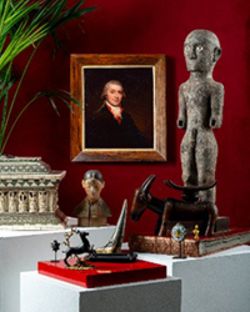 Finch & Co: A Cabinet of Curiosities