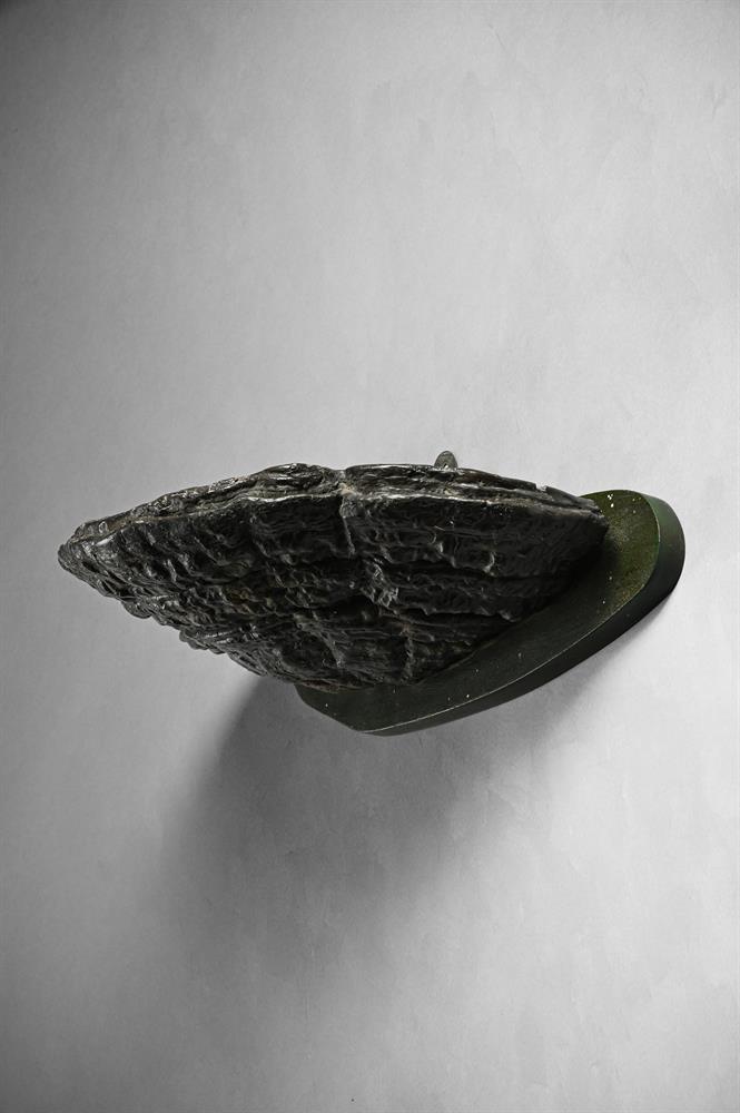 A MOUNTED SECTION OF TREE FUNGUS - Image 3 of 3