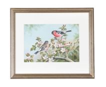 λ BASIL EDE (BRITISH 1931-2016), BULLFINCHES IN BLOSSOM