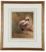 CHARLES WHYMPER (BRITISH 1853-1941), DEMOISELLE CRANE