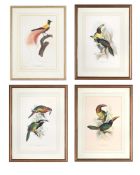 AFTER EDWARD LEAR, THREE COLOURED LITHOGRAPHS OF PARROTS