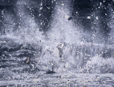 λ Damien Hirst (b.1965), H13-10. Blizzard, from Where the Land Meets the Sea