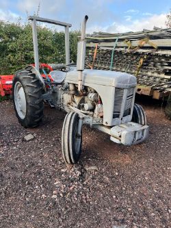 TRACTOR FERGIE