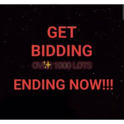 PLEASE CLICK TO READ ABOUT THE BIDDING PROCESS