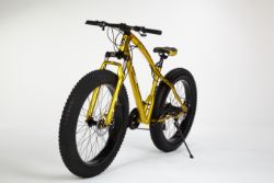 21 GEARS MOUNTAIN BIKE BICYCLE MEN/WOMEN FAT TIRE 26