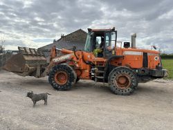 2011 DOOSAN DL300 WITH TOE TIP BUCKET