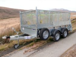 IFOR WILLIAMS GD105 CAGE TRAILER WITH TAILBOARD RAMP AND SPARE WHEEL
