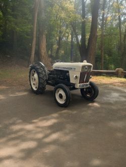 DAVID BROWN 990 TRACTOR
