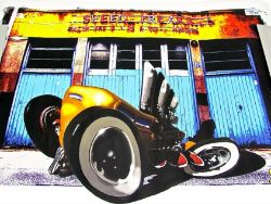 453 X FLATHEAD FLYER POSTER