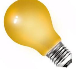 1479 X COLOUGLAZED BULB 15W ES-E27 240V AMBER