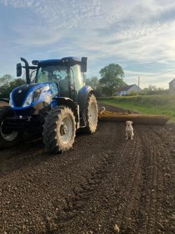 MICHAEL MOORE 8.2M FOLDING CAMBRIDGE ROLLERS