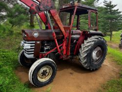MASSEY FERGUSON 165 TRACTOR AND LOADER WITH BUCKET 2WD