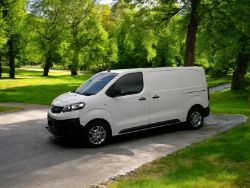 2019 VAUXHALL VIVARO **(ONLY K61 MILEAGE)**