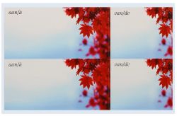 1250 X ENVELOPE LABELS