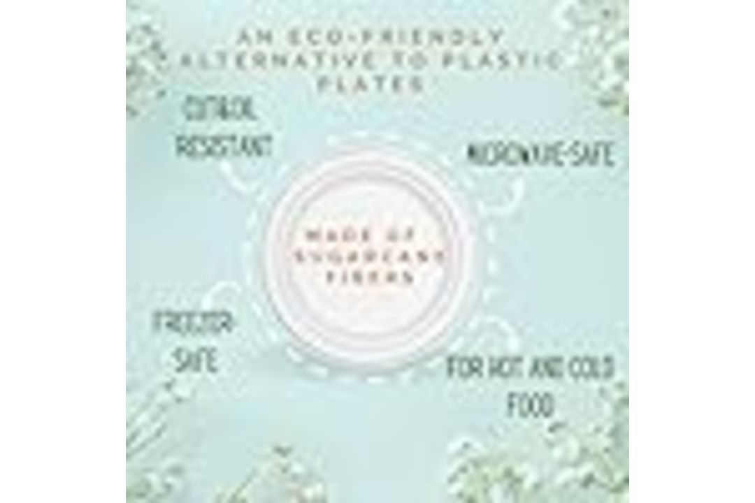 1000 6-INCH ROUND DISPOSABLE PLATES BAGASSE SUGARCANE BIODEGRADABLE ECO FRIENDLY MICROWAVE-SAFE - Image 3 of 5