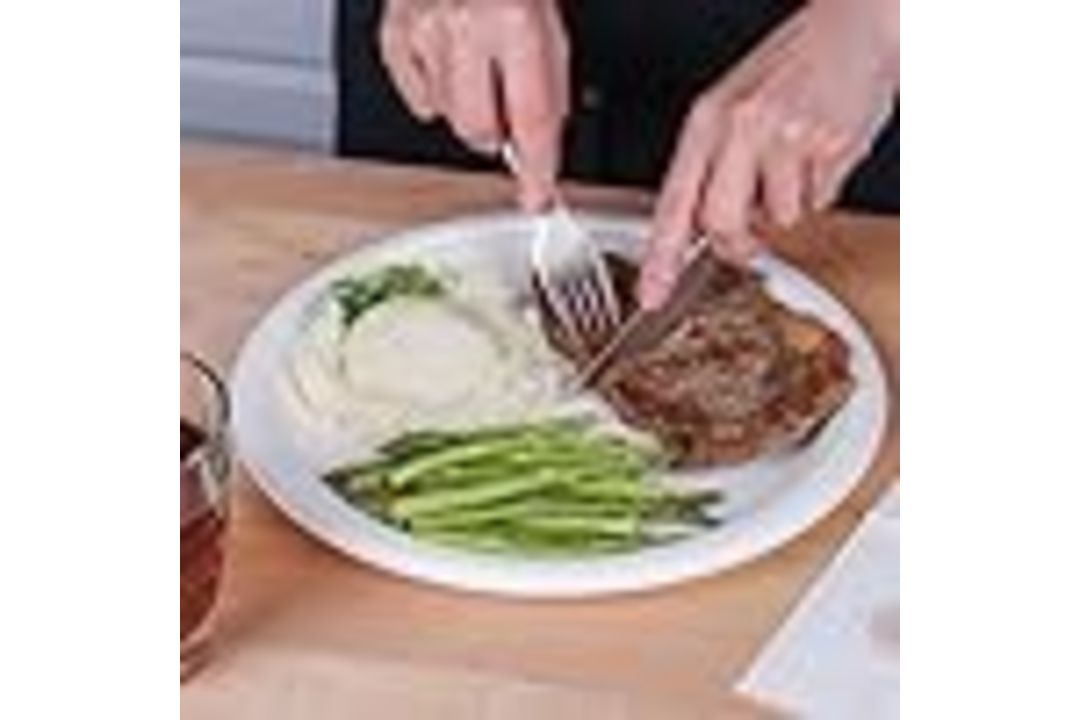 500 9-INCH ROUND DISPOSABLE PLATES BAGASSE SUGARCANE BIODEGRADABLE ECO FRIENDLY MICROWAVE-SAFE - Image 2 of 5