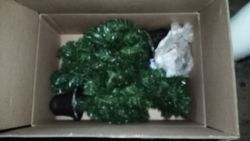 PALLET OF 14 CHRISTMAS TREES