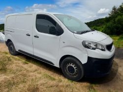 2019 PEUGEOT EXPERT PROFESSIONAL VAN (69 REG)