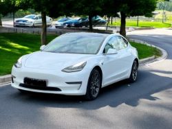 2019 TESLA MODEL 3 DUAL MOTOR PERFORMANCE AUTO 4WDE >>--NO VAT ON HAMMER--<<