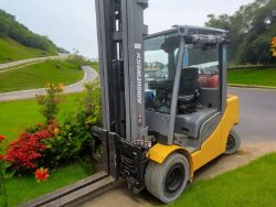 2017 JUNGHEINRICH DFG535S LPG GAS FORKLIFT