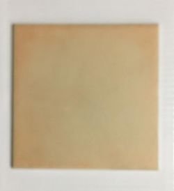 1333 X CAMILE TERRACOTTA WALL TILES 152 X 152 X 5.5MM (6X6