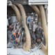 A Biesse Akron 840 Edgebander with Nordson Unit - 3ph - Image 14 of 16
