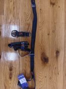 Auster Power Straps and Anchor Combination