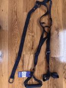 Auster Power Straps and Anchor Combination