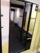 5 x Mirrors Throughout; 750mm x 1450mm