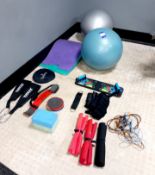 Quantity of Gym Equipment and Training Aids