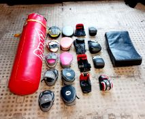 Erg Punch Bag with Various Boxing Gloves and Pads
