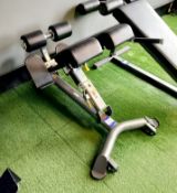 Lower Back Extension.