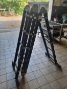 Set of Folding Aluminium ladders