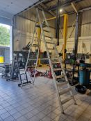 12x tread aluminium ladder