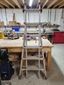 Multi-Purpose Ladders
