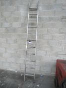 11 Stave Ladder