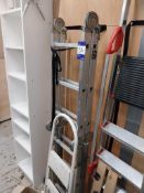 Youngman multi purpose multi position ladder