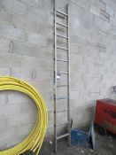 11 Stave Ladder