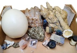 Natural History - an Ostrich egg; Pyrite specimens; banded quarts obelisk, another similar; lead