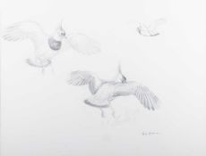 PHILIP RICKMAN (1891-1982) LAPWINGS IN FLIGHT