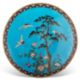 A VERY LARGE JAPANESE CLOISONNÉ ENAMEL CHARGER, MEIJI PERIOD, 19TH CENTURY - Image 1 of 3