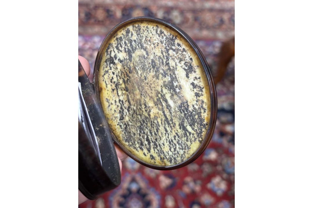 A CHINESE TORTOISESHELL SNUFF BOX, 18TH CENTURY - Image 5 of 10